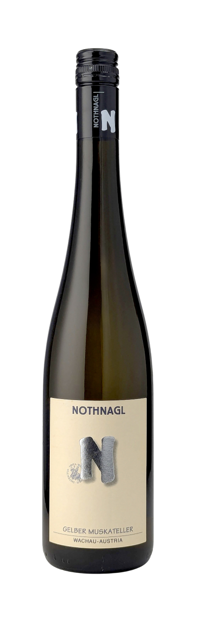 Gelber-Muskateller-Spitz-2025-Nothnagl-WWG26.jpg