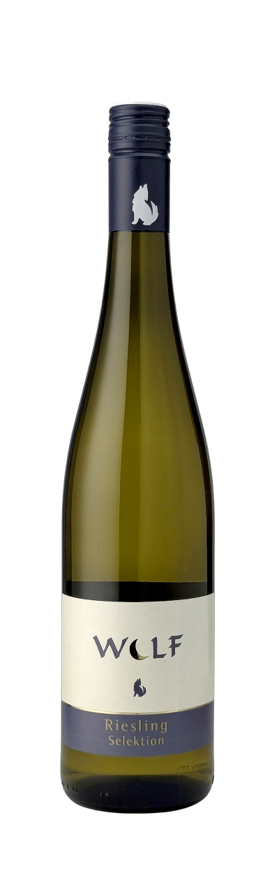 Riesling-Selektion-Langenlois-Wolf-2025-Eder-WWG26.jpg