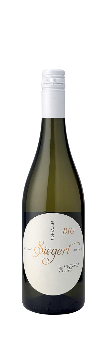 Sauvignon-Blanc-2025-Siegert-WWG26.jpg