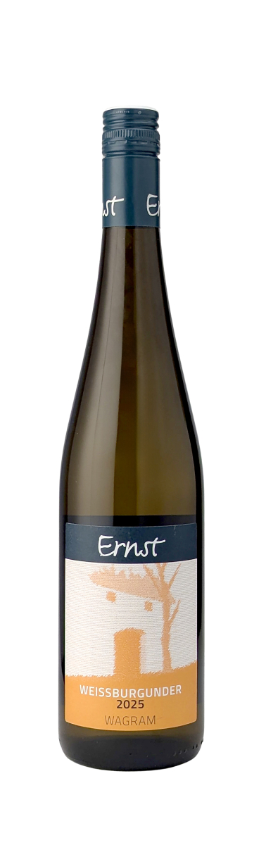 Weissburgunder-2025-Ernst-Harald-WWG26.jpg